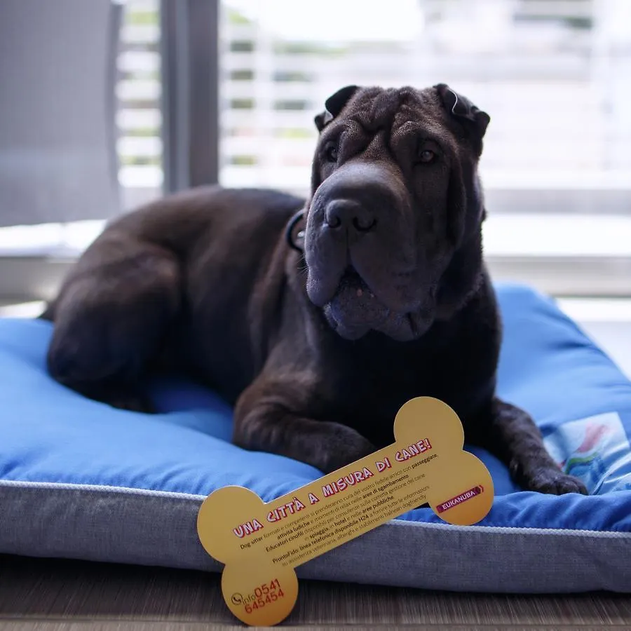 The One Hotel - Designed For Adults - Pet Lovers Riccione